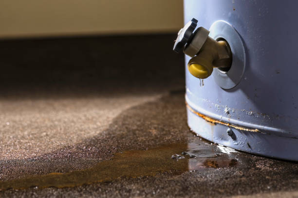 Best 24/7 water damage repair  in Homeland, CA