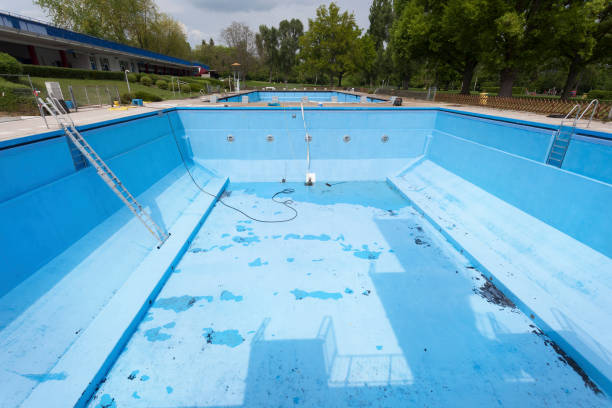 Best Mold removal after water damage  in Homeland, CA