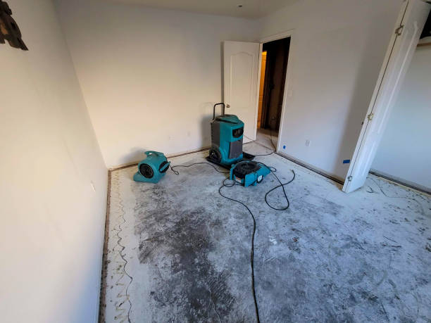 Best 24/7 water damage repair  in Homeland, CA
