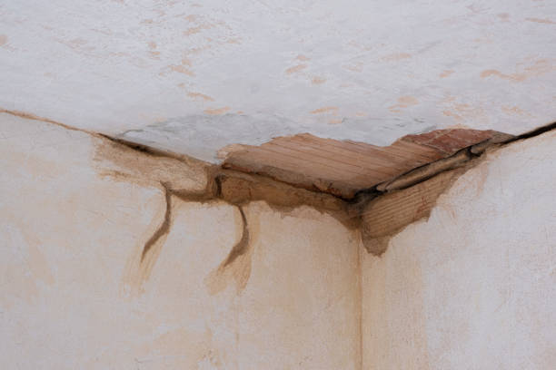Best Flood damage cleanup  in Homeland, CA