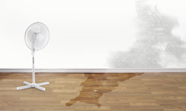 Best Water damage restoration near me  in Homeland, CA