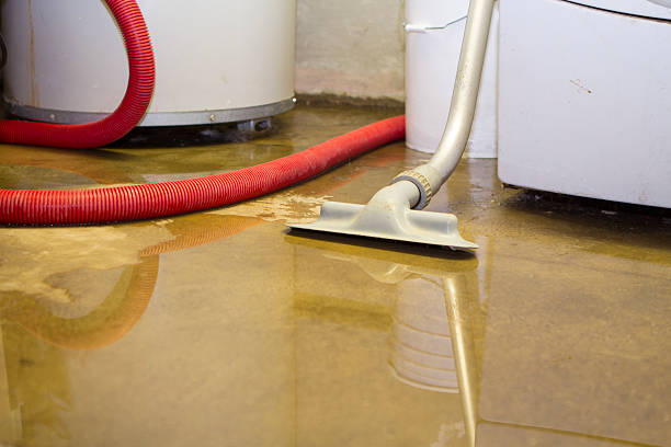 Best Water damage restoration near me  in Homeland, CA