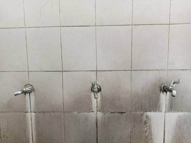 Best Local water damage restoration  in Homeland, CA