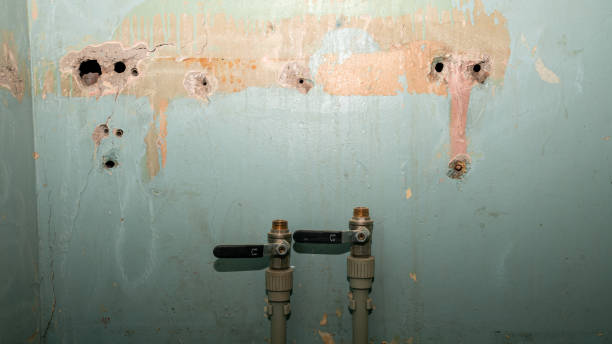 Homeland, CA Water damage restoration Pros