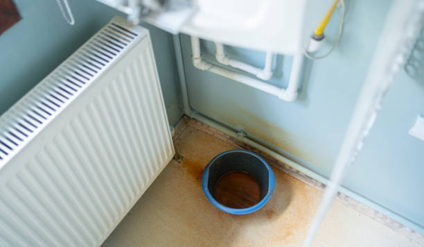 Best Water damage contractors near me  in Homeland, CA
