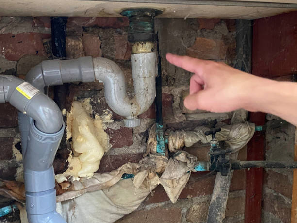 Best Fire Damage Restoration  in Homeland, CA